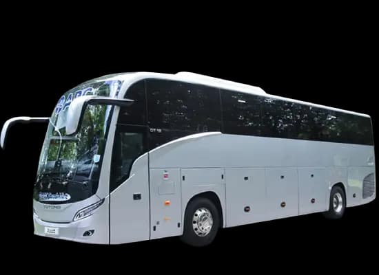 Luxury Bus Fleet